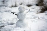 春雪 唐 韩愈(唐代文学家韩愈与《春雪》的故事)