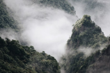 华润怡宝招聘信阳地区销售代表岗位，前景广阔